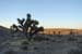 USA26 -Le desert au petit matin