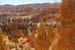 USA57  Paysages dans le Bryce Canyon Parc
