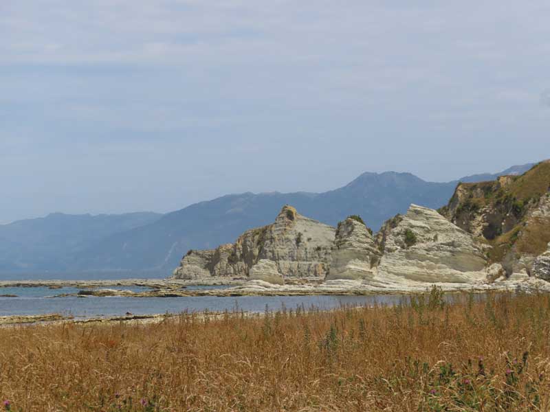 kaikoura peninsula