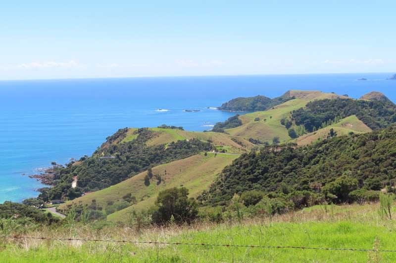 paysage NZ